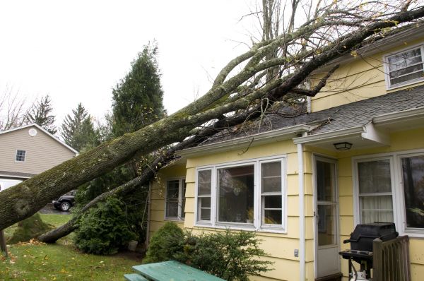Hurricane Damage Repair